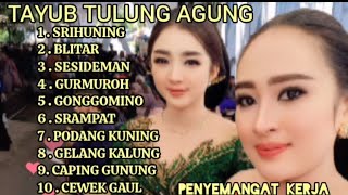 Download lagu GENDING JAWA TERLARIS/TAYUB TULUNG AGUNG/SRIHUNING/BLITAR/SESIDEMAN/ NYAMPLENG TENAN KANGGO JOGETAN  mp3