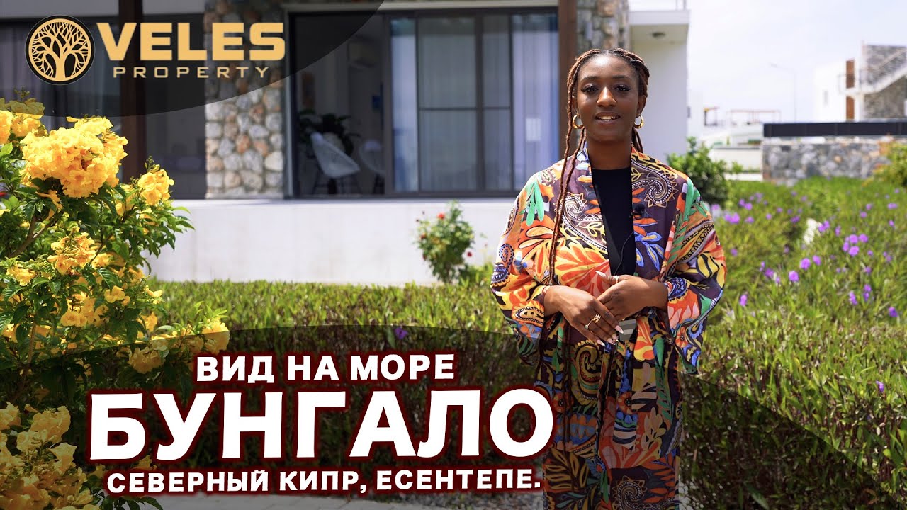 video image
