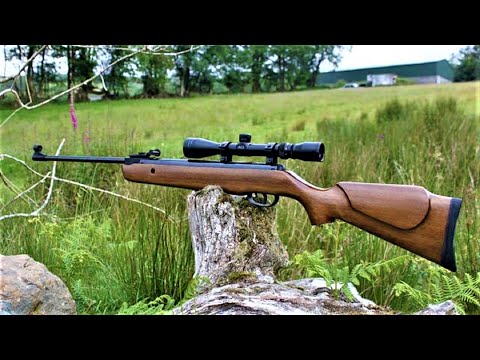 Top 10 Most Powerful Break Barrels Air Rifles For 2024