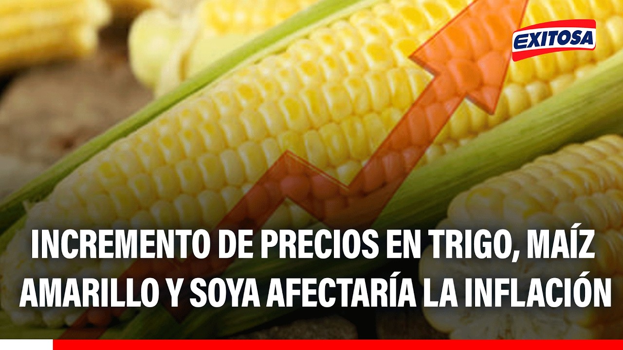 🔴🔵Posible impacto en precio de los alimentos afectaría la inflación de este año