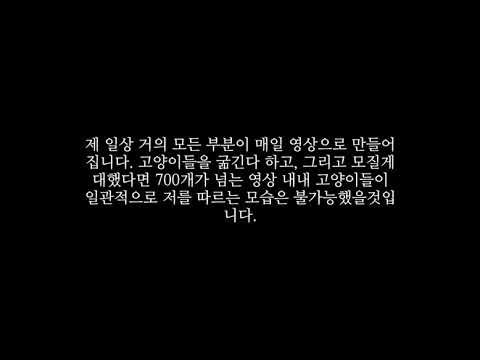 아이콘