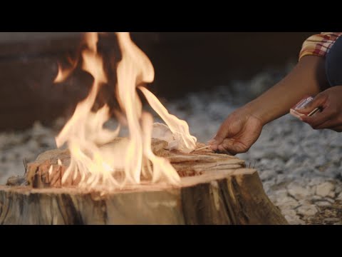 How to Remove a Tree Stump Easily & Quickly (No Grinder Required!) | The Spruce #TreeStumpRemoval
