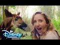 Sydney To The Max Cast Learns About Okapi Celebrate Earth Day Disney Channel