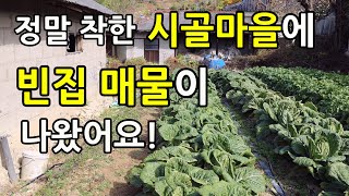 정말 착한 시골마을에 빈집(폐가)매물이 나왔어요!