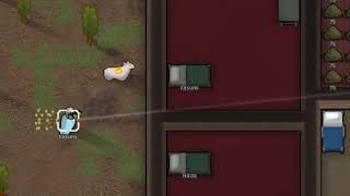 Video 3