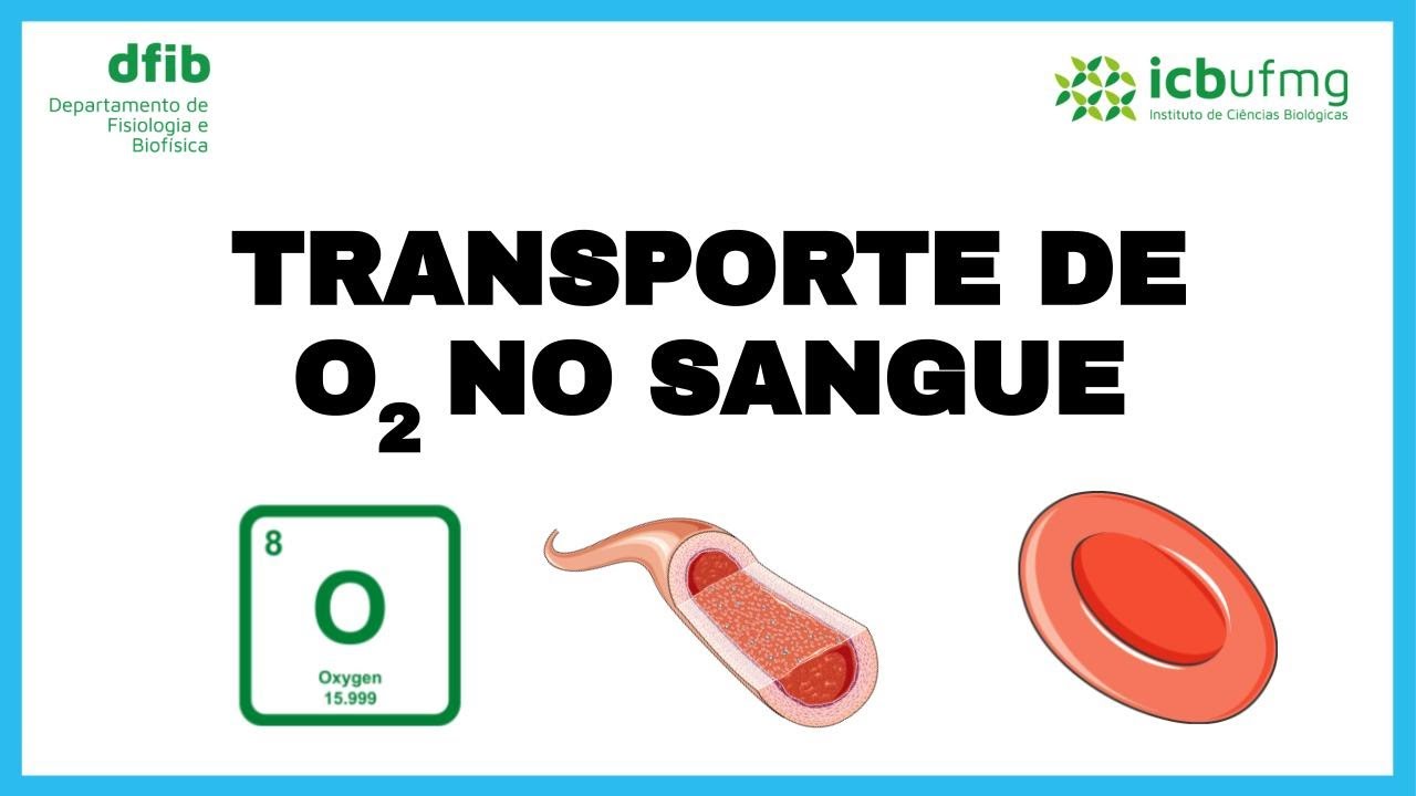 Transporte de gases no sangue (Parte 1)