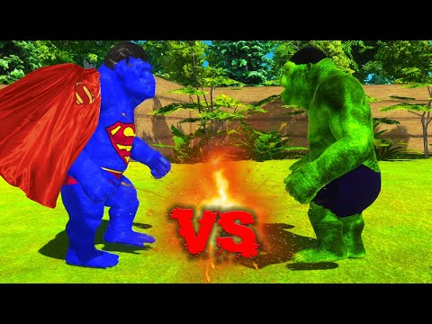 HULK GORO vs SUPERMAN GORO - Who is Stronger? - Animal Revolt Battle Simulator