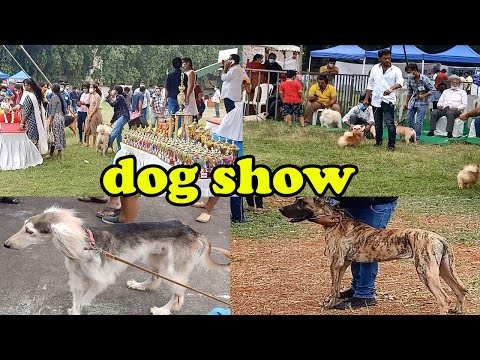 DOG SHOW IN VIJAYAWADA ###1