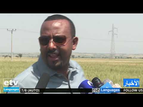 Arabic News October 12/2020