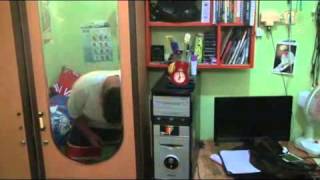 Download lagu endank soekamti - cita-cita mp3 Download lagu endank soekamti - cita-cita mp3