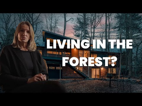 Minimalist Living in Nature: My Forest House Renovation Vlog