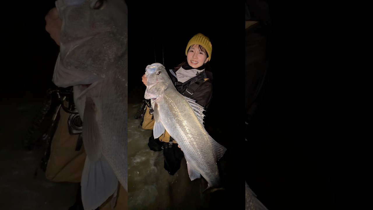 正直、こんな展開になるとは思っていませんでした、、 #shorts #ランカーシーバス #シーバス #シーバス釣り #おかっぱり #海釣り #釣り女子 #fishing