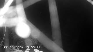 DSGC Cam 1 - Facing SouthEast live webcam