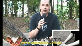 HOMILIAPADRE BETO 17 07 11