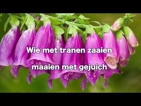 Opwekking 403 Kom en help ons oogsten