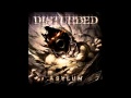 Disturbed Warrior, Asylum Album, Track #4 