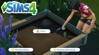 How To Make A Garden 2023 (Plant Seeds Beginner