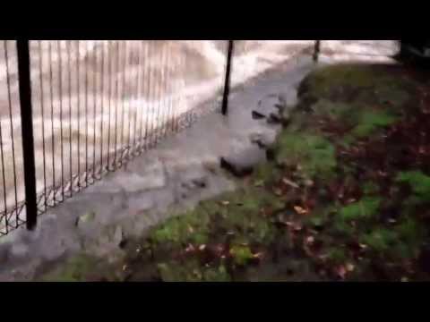 Heavy rain auckland 16/6/2013, wairau creek in flood. Westlake- glenfeild- Milford -Milford beach