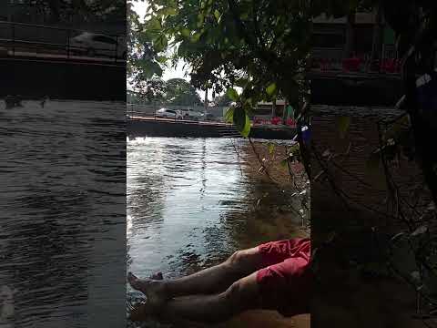 Lugar bonito demais. São Bento do Tocantins 🌎 #araguatins #humor #memes #comedia #engraçado