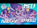 My Little Pony 💖 NEW 💖 Meet Twilight Sparkle in Pony Life | MLP