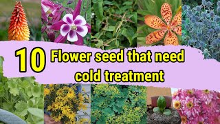 10 Flower seed that need COLD STRATIFICATION | Paper towel method