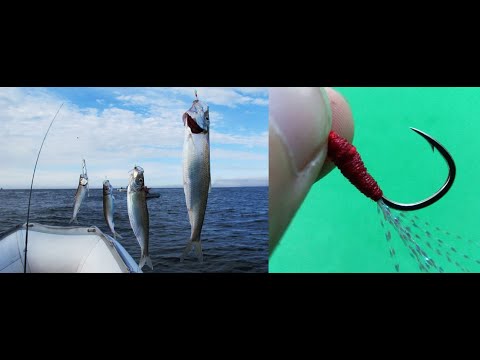 Автоматическая ловля рыб. Ловля и обработка рыбы прямо на корабле. Большой улов в море