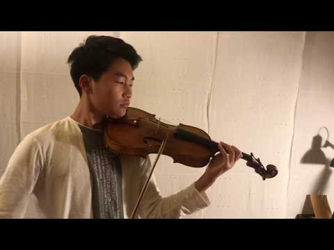 Viola Concerto in D Major, Op.1 by Carl Stamitz - Alejandro Zheng (Viola)