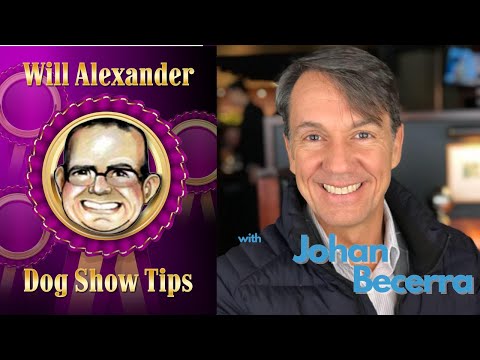 Dog Show Tips - Will Alexander Interview with Johan Becerra
