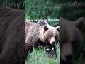 The Hidden World Of Tiny Creatures Pt 4 Peaceful Beautifulnature Animalshorts Shrots Tinyescape