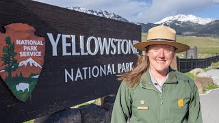 Top 10 Ranger Tips for planning a summer 2022 visit to Yellowstone National Park