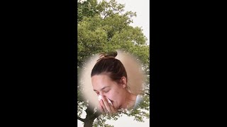 POLLEN UPDATE: Goodbye mountain cedar, hello oak season