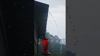 heavy rain n montgomery county, willis tx today  Monday