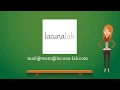Lacuna Lab Agency What We Do
