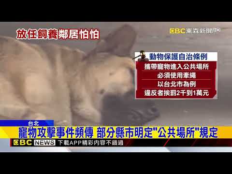 沒牽繩！ 2犬突衝來 嚇壞遛狗路人「揮物驅趕」@newsebc