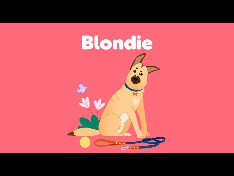 Mondou Mondon for the Shelters 2025 | Blondie’s Adoption Story – Anxious but Affectionate Pup