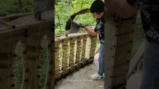 quick #construction ideas