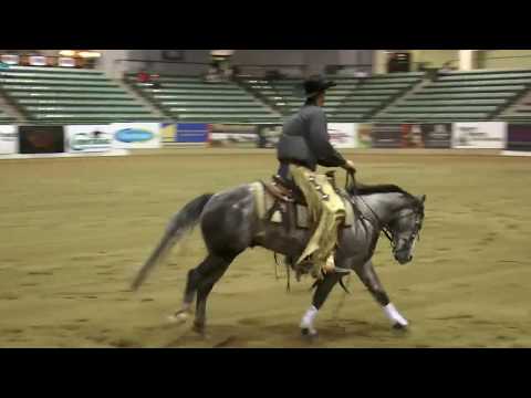 Dualin Stargun ridden by Justin E. Lawrence  - 2014 NRCHA SBF (Rein Work (Prelims) - Open)