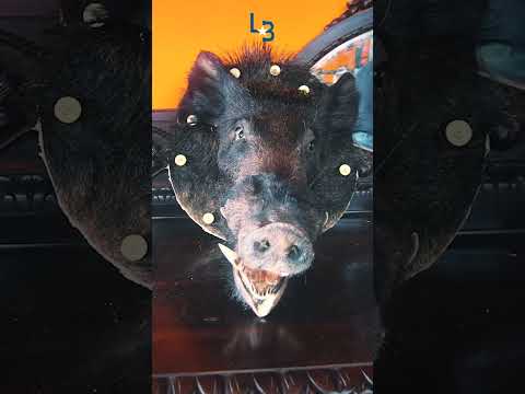 Rancho do Leandro Baldissera