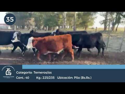 Lote M Y H - Pila Bs As