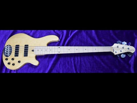 "Unleashing the Power of the Lakland 5501: A Bassist's Dream Come True!"