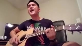 Don&#39;t Say by This Wild Life (Cover)
