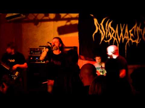 Nihilism Live au Midland de Lille le 08-05-15