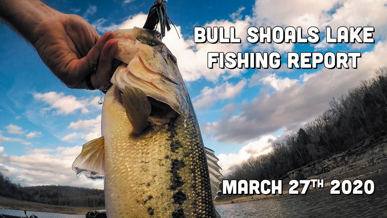 Bull Shoals Lake | Fishing Report | Late March