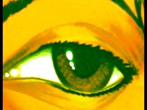 In Search of Burgess: a tropical Lugano