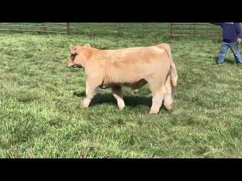 Tag 10 video