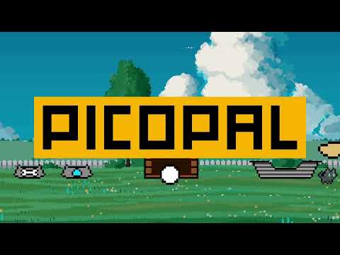 Picopal