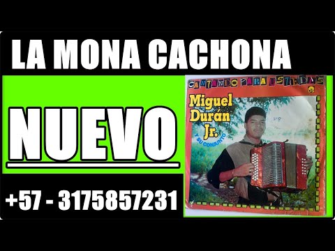 🌟🌟🌟 LA MONA CACHONA, MIGUEL DURAN JUNIOR MUSICA VALLENATO SABANERO 2021,  CONTACTO 3175857231🌟🌟🌟