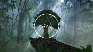 【ambient】Tree of Life - show