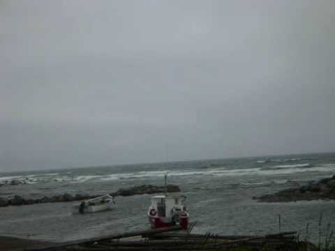 D'Arcy Broderick - Will They Lie There Ever More