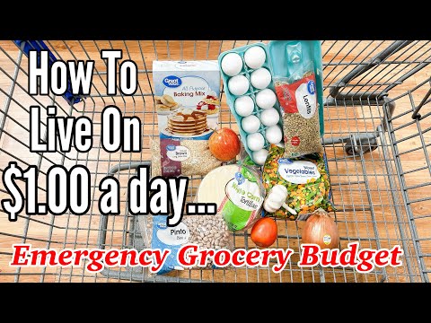 Eating For $1 A Day (Full Week) | Emergency Grocery Budget-Friendly Meal Plan | Dirt Cheap Recipes
